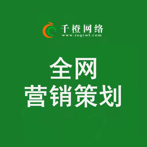 新泰營銷型網(wǎng)站建設(shè)的規(guī)劃布局策略